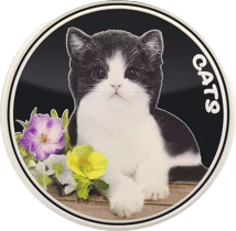 1 Unze Silber Katze 2022 (Auflage: 2.000 | coloriert | 2. Motiv)