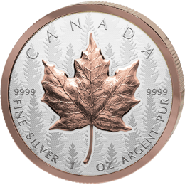 1 Unze Silber Maple Leaf 2025 (Auflage: 8.500 | High Relief | teilvergoldet | Reverse Proof)