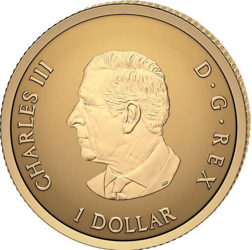 0,5g Gold Reverse Proof Maple Leaf 2026 (Auflage: 20.000 | Kanada 30. Jubiläum)