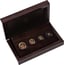 Krügerrand 4 Münzen Fractional Set 2025 PP (Auflage: 150)