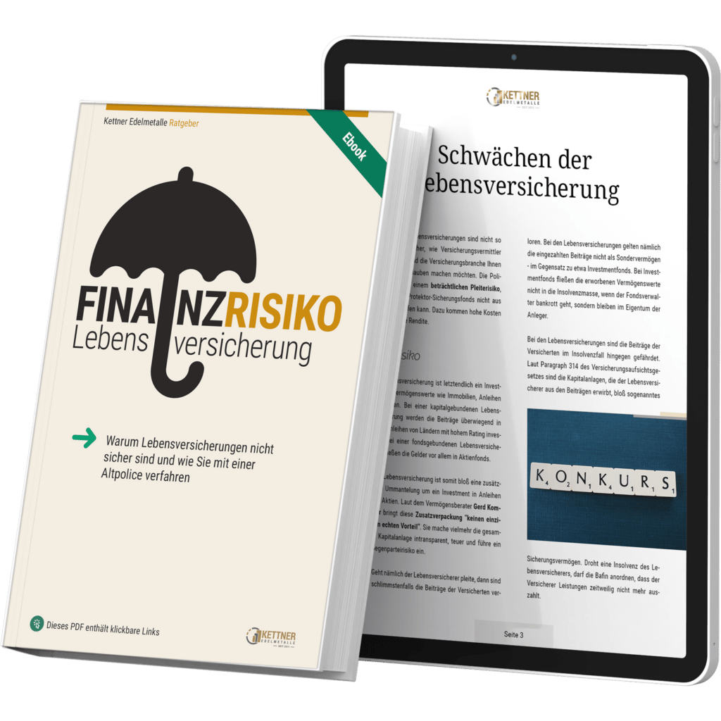 Risiko Lebensversicherung