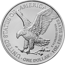 1 Unze Silber American Eagle Polar Lights 2024 (Auflage: 2.024)