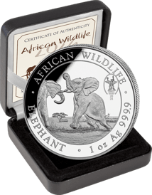 1 Unze Silber Somalia Elefant 2024 PM WMF (Auflage: 1.000 | Privymark World Money Fair Berlin)