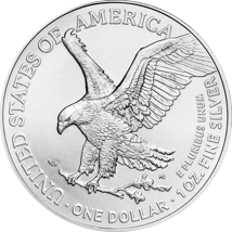 100 x 1 Unze Silber American Eagle 2024 (Typ II)