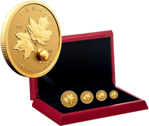 4 Münzen Gold Maple Leaf Fractional Set 2021 (Auflage: 500 | Reverse Proof)