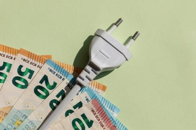 Die Kosten der Energiewende: Klimakurs belastet Unternehmen und Haushalte